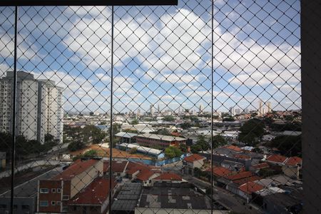 Apartamento para alugar com 65m², 3 quartos e 1 vagaVista 