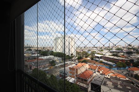 Apartamento para alugar com 65m², 3 quartos e 1 vagaVista 