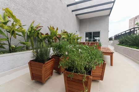 Apartamento à venda com 57m², 3 quartos e 1 vagaÁrea Comum - Horta 