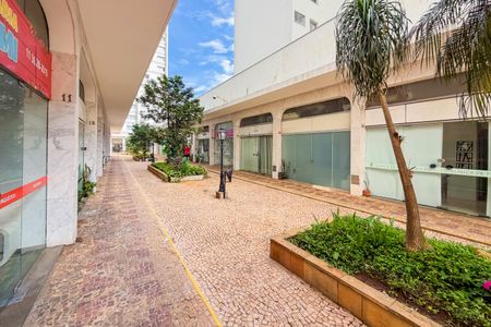 Apartamento para alugar com 138m², 3 quartos e 2 vagas Apartamento para alugar com 138m², 3 quartos e 2 vagasÁrea Externa