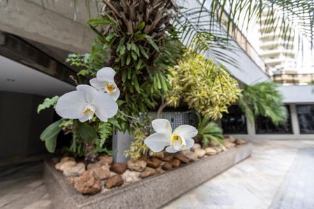 Apartamento à venda com 248m², 4 quartos e 4 vagasJardins