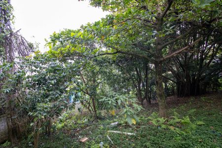 Vista Quarto  de casa para alugar com 1 quarto, 60m² em Jardim Salete, Taboão da Serra