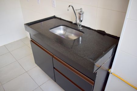 Apartamento para alugar com 44m², 2 quartos e 1 vagaCozinha - Armários