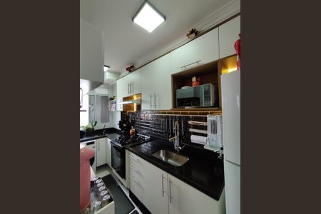 Cozinha - Armários de apartamento para alugar com 2 quartos, 40m² em Vila Cristalia, São Paulo