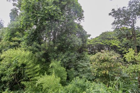 Casa à venda com 135m², 2 quartos e 2 vagas Casa à venda com 135m², 2 quartos e 2 vagasVista