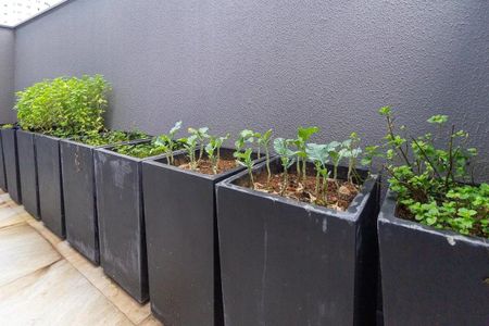 Apartamento para alugar com 24m², 1 quarto e sem vaga Apartamento para alugar com 24m², 1 quarto e sem vagaÁrea comum