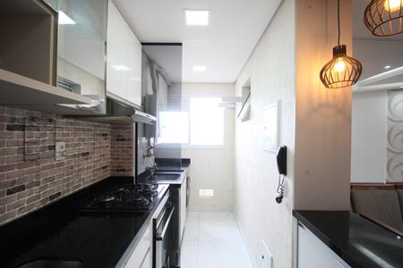 Apartamento para alugar com 52m², 2 quartos e 2 vagasCozinha - Armários