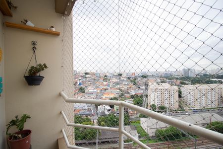 Varanda da Sala de apartamento à venda com 2 quartos, 56m² em Jardim Iris, São Paulo