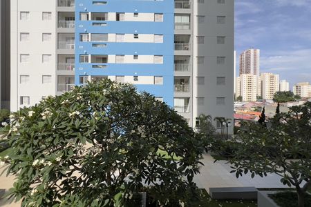 Vista da Suíte de apartamento para alugar com 2 quartos, 58m² em Jardim Flor da Montanha, Guarulhos