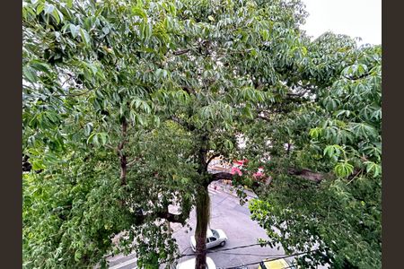 Apartamento para alugar com 56m², 2 quartos e sem vagaVista da Sala