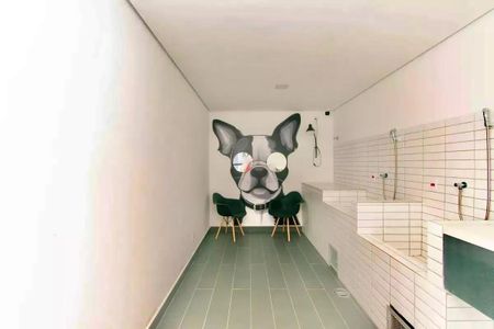 Apartamento para alugar com 49m², 2 quartos e 1 vaga Apartamento para alugar com 49m², 2 quartos e 1 vagaÁrea comum - Dog Shower