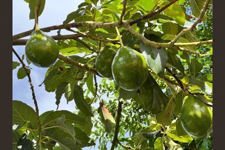 Casa para alugar com 200m², 3 quartos e 3 vagas