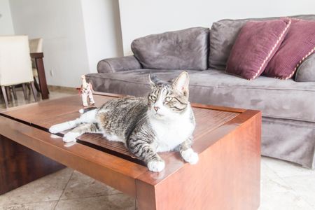 Apartamento à venda com 139m², 3 quartos e 2 vagas Apartamento à venda com 139m², 3 quartos e 2 vagasSala