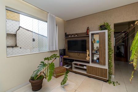 Sala de apartamento à venda com 3 quartos, 96m² em Castelo, Belo Horizonte