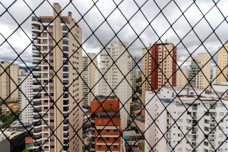 Apartamento para alugar com 393m², 3 quartos e 6 vagas Apartamento para alugar com 393m², 3 quartos e 6 vagasVaranda da Sala de TV - Vista