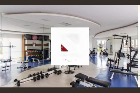 Apartamento à venda com 3 quartos, 79m² em Vila Maria, São Paulo