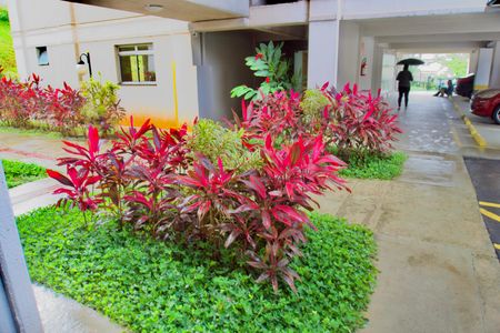 Apartamento à venda com 47m², 2 quartos e 1 vagaÁrea Comum - Jardim