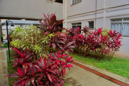 Apartamento à venda com 47m², 2 quartos e 1 vagaÁrea comum - Jardim