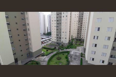Apartamento para alugar com 3 quartos, 65m² em Continental, Osasco
