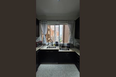 Apartamento à venda com 260m², 4 quartos e 4 vagasCozinha