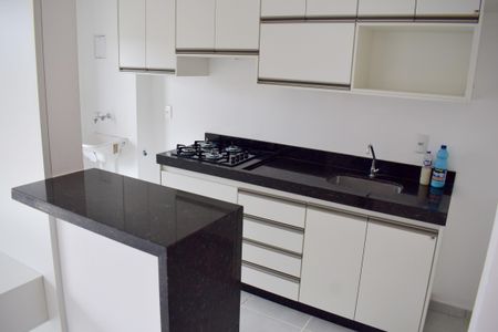 Cozinha de apartamento para alugar com 2 quartos, 55m² em Vila Maria Luiza, Ribeirão Preto