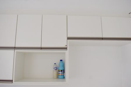 Apartamento para alugar com 55m², 2 quartos e 1 vagaCozinha - Armários