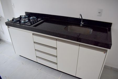 Apartamento para alugar com 55m², 2 quartos e 1 vagaCozinha - Armários