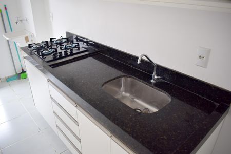 Apartamento para alugar com 55m², 2 quartos e 1 vagaCozinha - Torneira