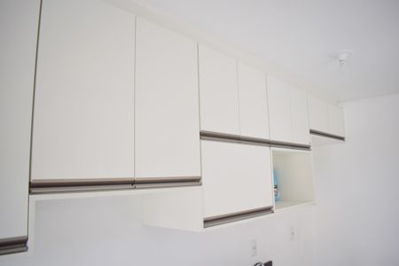 Apartamento para alugar com 55m², 2 quartos e 1 vagaCozinha - Armários