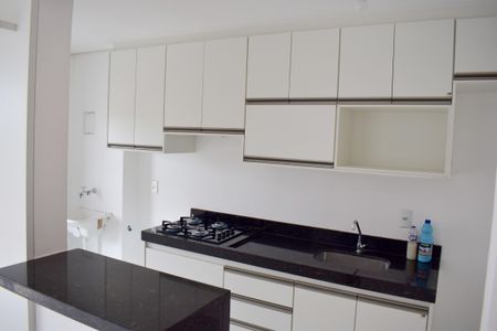 Apartamento para alugar com 55m², 2 quartos e 1 vagaCozinha - Armários