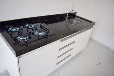 Apartamento para alugar com 55m², 2 quartos e 1 vagaCozinha - Armários