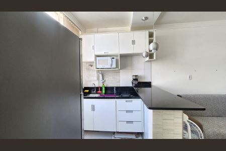 Apartamento para alugar com 45m², 1 quarto e sem vagaCozinha 