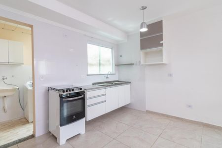 Cozinha de apartamento para alugar com 2 quartos, 43m² em Cidade Patriarca, São Paulo