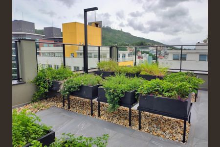 Apartamento para alugar com 31m², 1 quarto e sem vagaHorta comunitária 