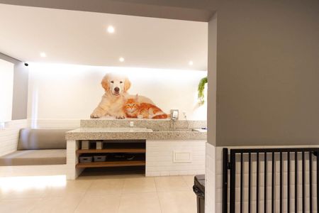 Apartamento para alugar com 38m², 2 quartos e sem vaga Apartamento para alugar com 38m², 2 quartos e sem vagaPet Care