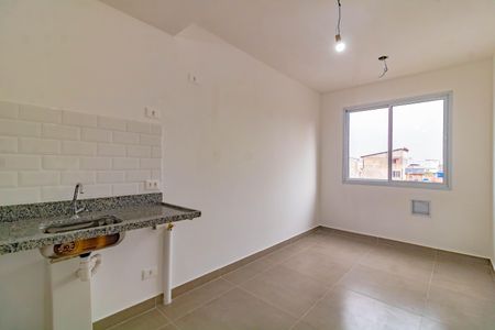 Apartamento para alugar com 1 quarto, 24m² em Vila Santa Catarina, São Paulo