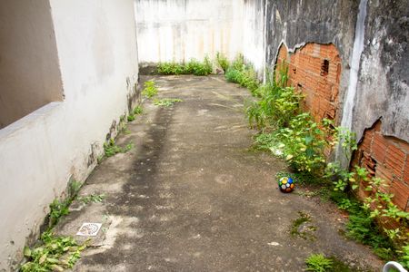 Casa para alugar com 100m², 2 quartos e 3 vagasQuintal