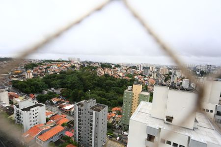 Apartamento para alugar com 52m², 2 quartos e 2 vagasvista