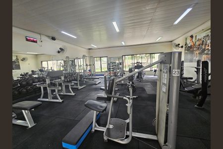 Apartamento à venda com 87m², 4 quartos e 2 vagasAcademia