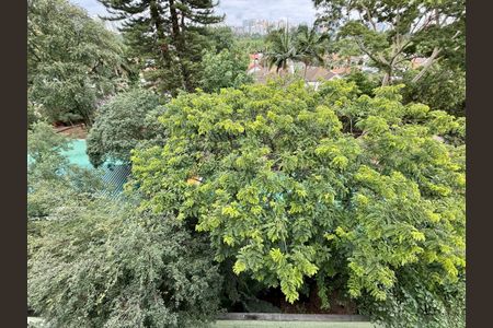 Apartamento à venda com 62m², 2 quartos e 1 vagaVista