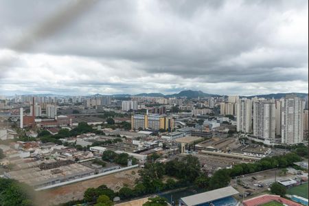 Apartamento para alugar com 241m², 4 quartos e 3 vagasVista