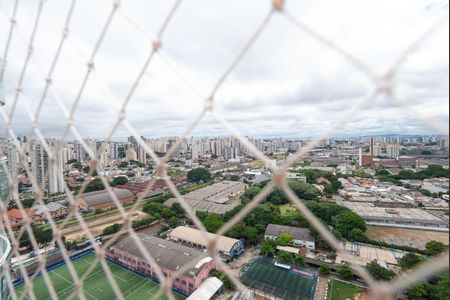 Apartamento para alugar com 241m², 4 quartos e 3 vagasVista