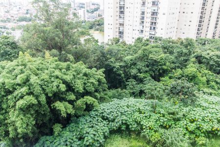 Vista da Varanda de apartamento para alugar com 1 quarto, 40m² em Jardim Tupanci, Barueri