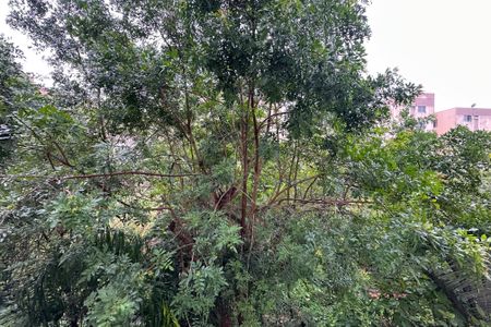 Apartamento para alugar com 73m², 3 quartos e 1 vagaVista do Quarto 2