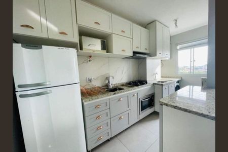Cozinha  de apartamento para alugar com 2 quartos, 50m² em Jardim Itu, Porto Alegre