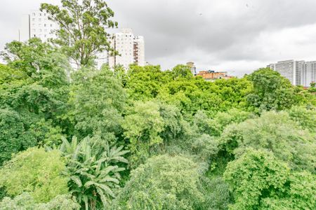 Apartamento para alugar com 2 quartos, 52m² em Jardim Maria Estela, São Paulo