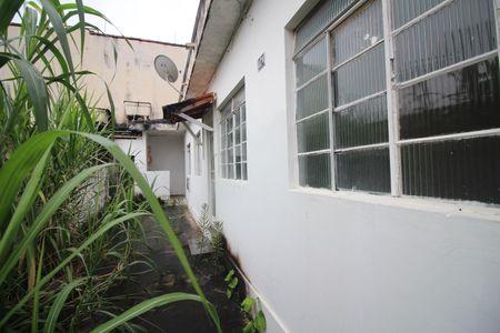 Casa à venda com 360m², 2 quartos e 2 vagasBarracão dos Fundos 1