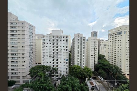 Vista de apartamento para alugar com 1 quarto, 34m² em Vila Uberabinha, São Paulo