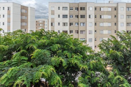 Vista Quarto 1 de apartamento para alugar com 2 quartos, 45m² em Jardim Morumbi (nova Veneza), Sumaré