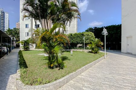 Apartamento para alugar com 50m², 2 quartos e 1 vagaÁrea comum